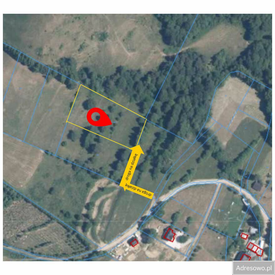 Działka rolna Szlachtowa. Zdjęcie 5