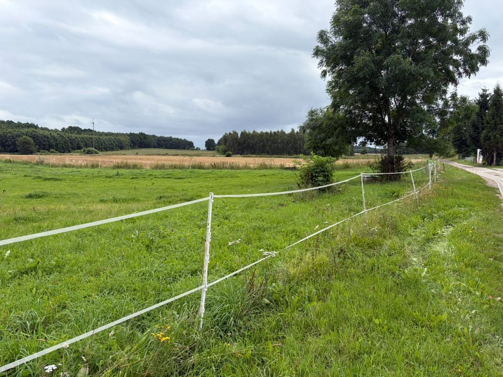Działka rolna Zegrze Pomorskie. Zdjęcie 7