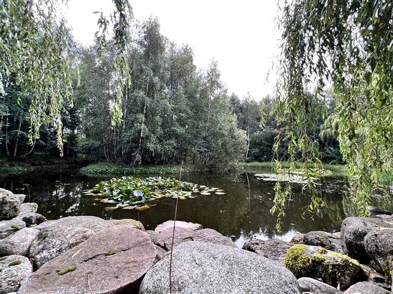 dom wolnostojący, 2 pokoje Strzepcz Zielony Dwór, ul. Zielony Dworek. Zdjęcie 8