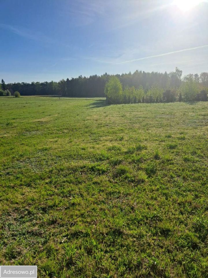 Działka budowlana Regny, ul. Leśna. Zdjęcie 5