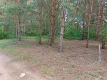 Działka rekreacyjna Tresta, ul. Olszynowa. Zdjęcie 4