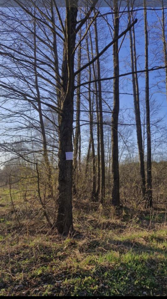 Działka rolna Niedabyl