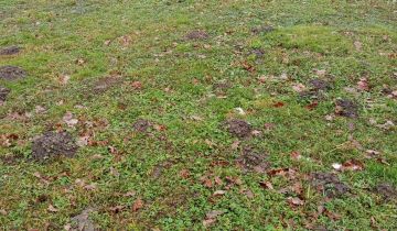 Działka budowlana Ujazd