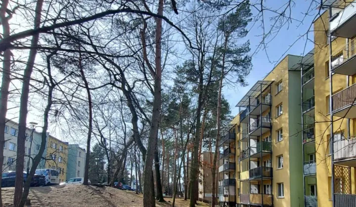 Mieszkanie 2-pokojowe Puławy Centrum, ul. Tadeusza Kościuszki