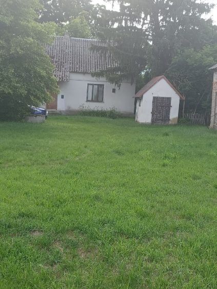 Działka rolna Chrapoń. Zdjęcie 5