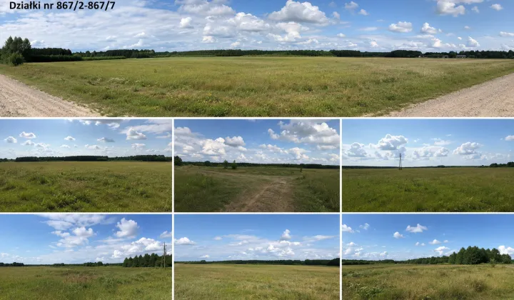 Działka rolno-budowlana Sobolew, ul. Polna
