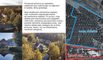 Działka leśna Turna Duża