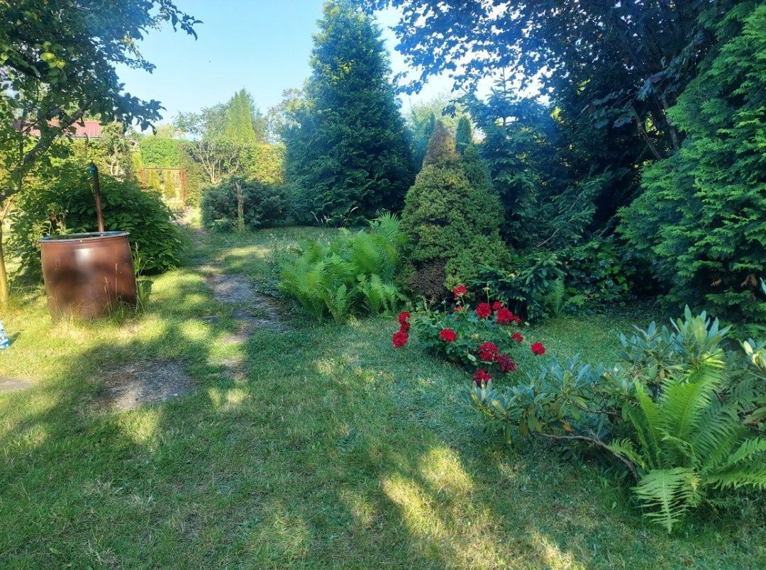 Działka rod Wejherowo Nanice, ul. mjr. Henryka Sucharskiego. Zdjęcie 3