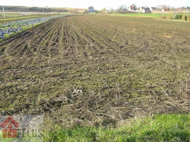 Działka budowlana Proszowice Podgórze. Zdjęcie 7