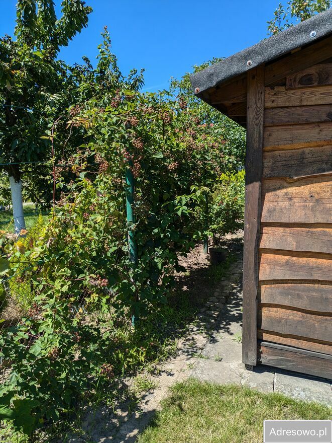 Działka rod Witkowo, ul. Dworcowa. Zdjęcie 5