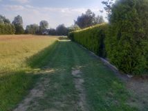 Działka budowlana Ołtarze-Gołacze. Zdjęcie 1