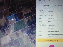 Działka rolna Nieczajna Dolna. Zdjęcie 2