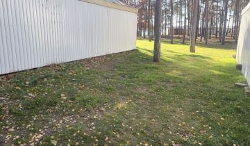 Lokal Sielpia Wielka