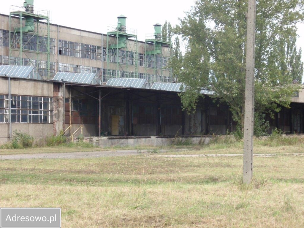 Hala/magazyn Ząbkowice Śląskie. Zdjęcie 11