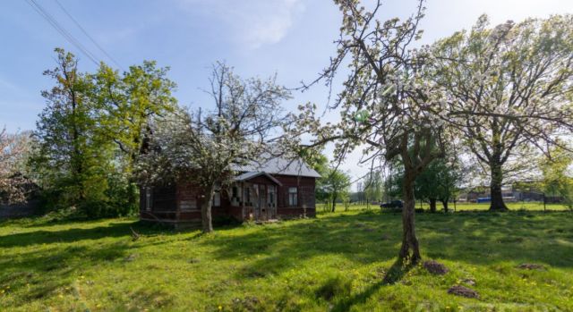 Działka siedliskowa Nowa Pecyna. Zdjęcie 1