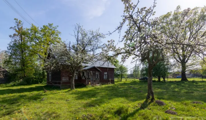 Działka siedliskowa Nowa Pecyna