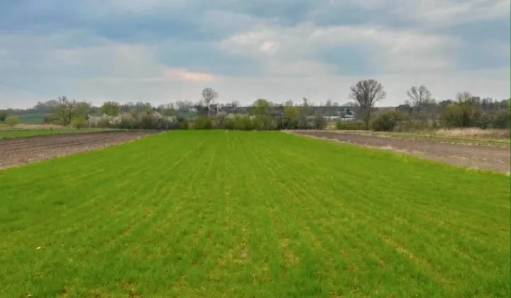 Działka budowlana Broniszów