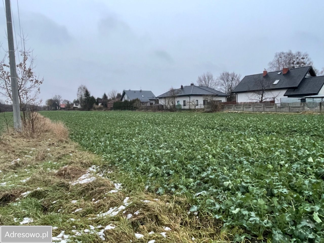 Działka rolno-budowlana Natolin. Zdjęcie 6