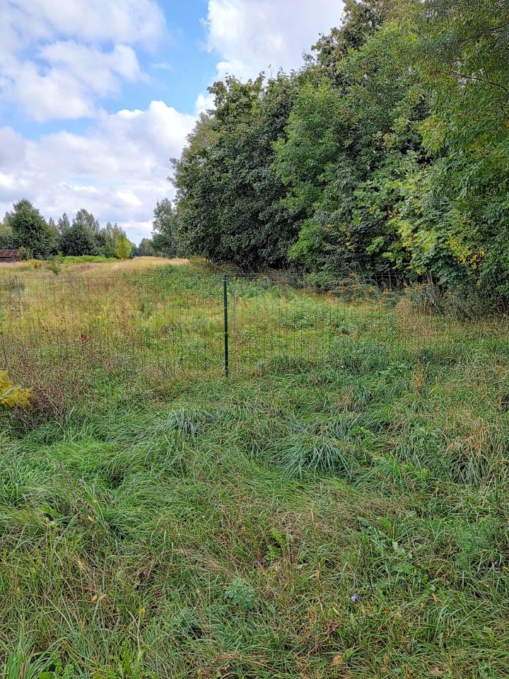 Działka budowlana Dąbrowa. Zdjęcie 2