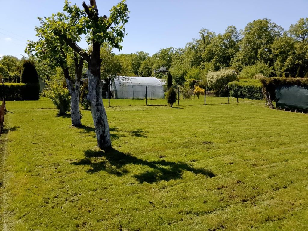 Działka rod Piła. Zdjęcie 6