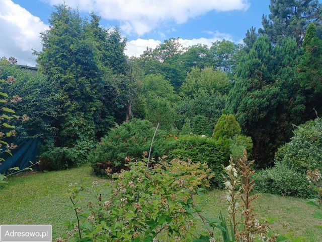 Działka rekreacyjna Sosnowiec Niwka, ul. Adama Śliwki. Zdjęcie 1