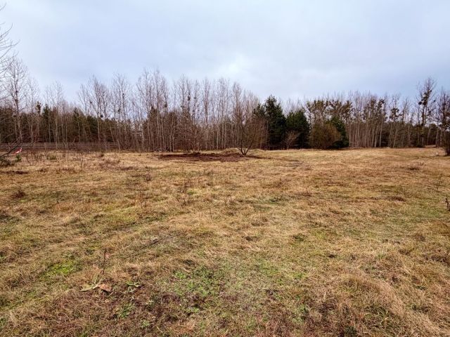 Działka inwestycyjna Orchówek. Zdjęcie 1