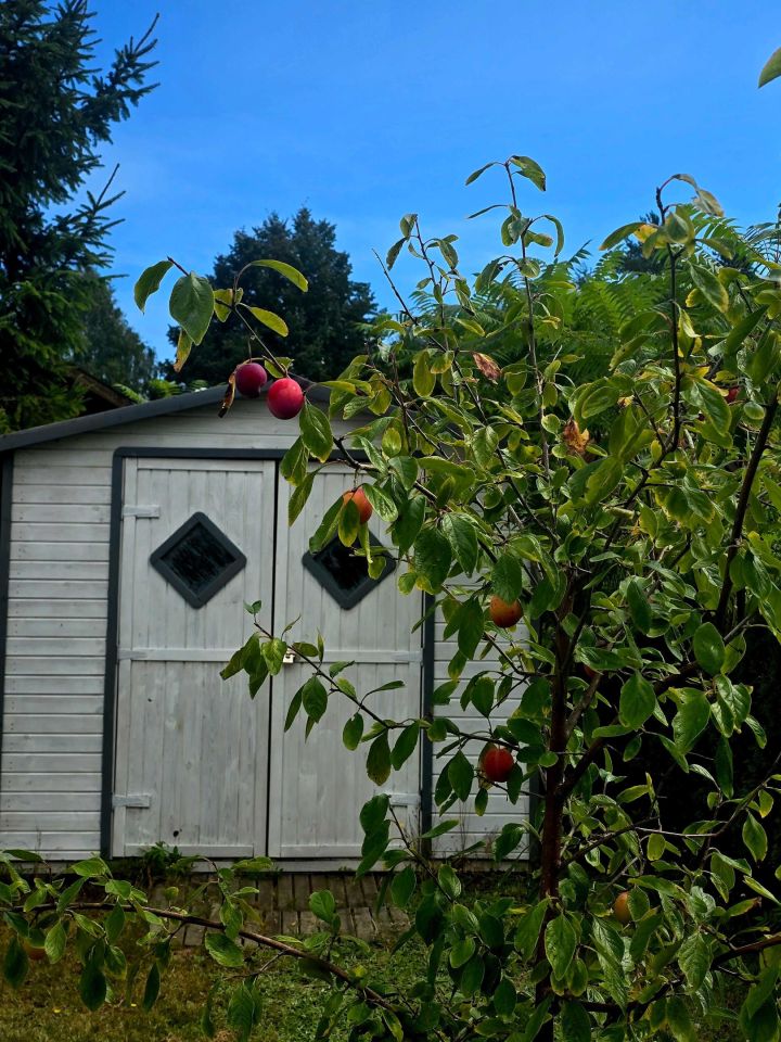 Działka Lubkowo, ul. Głogowa. Zdjęcie 2