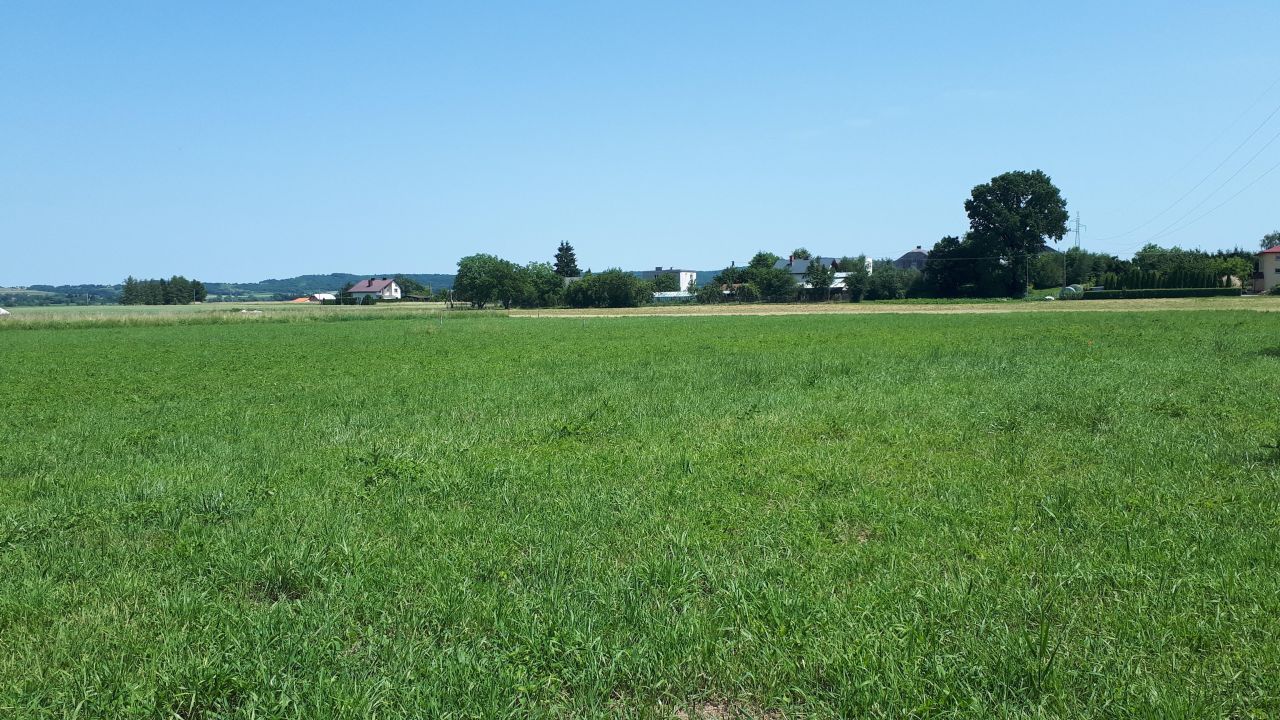 Działka budowlana Zarszyn, ul. Zielona. Zdjęcie 4