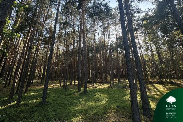 Działka rolno-budowlana Likiec. Zdjęcie 7