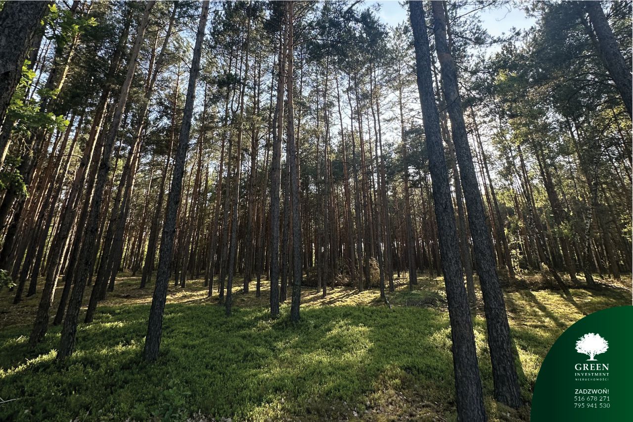 Działka rolno-budowlana Likiec. Zdjęcie 7