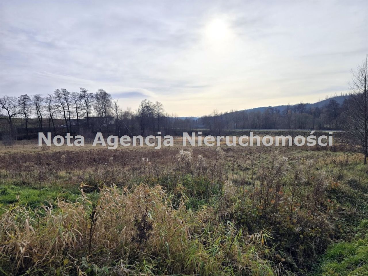 Działka inwestycyjna Jabłów. Zdjęcie 4