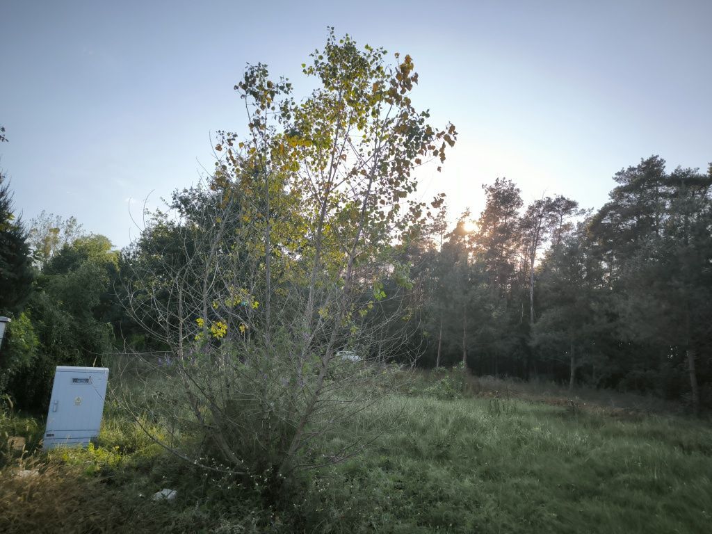 Działka budowlana Juliszew. Zdjęcie 7