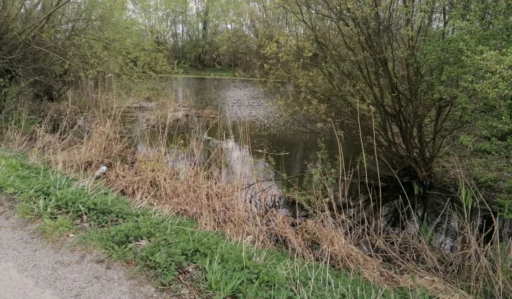 Działka budowlana Wojków