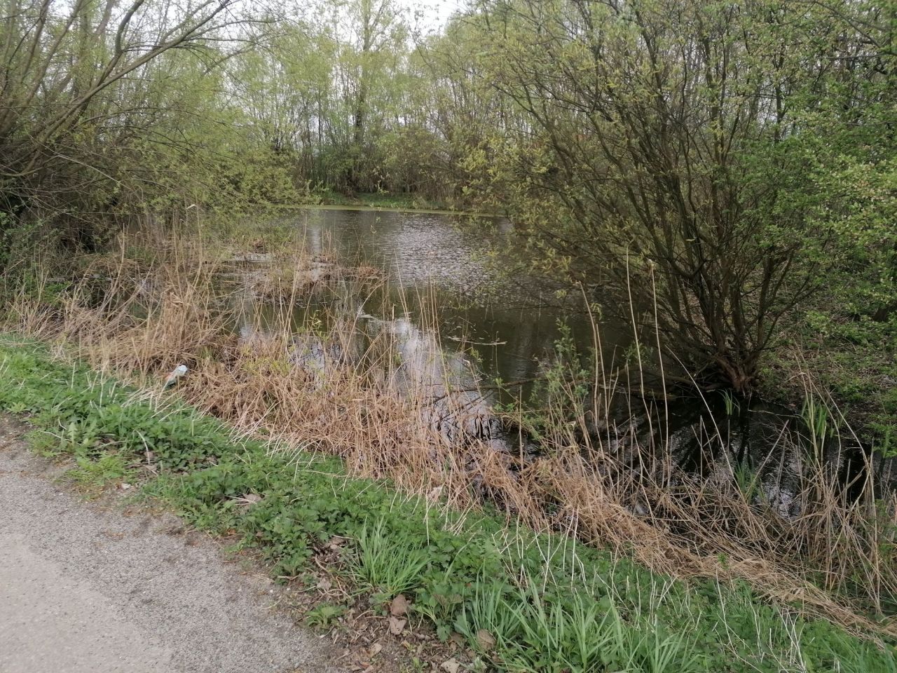 Działka budowlana Wojków. Zdjęcie 1