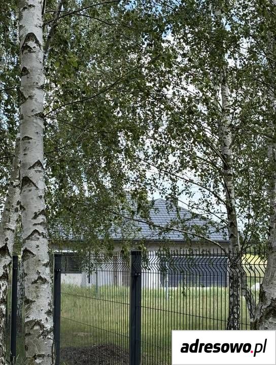 Działka rolno-budowlana Henrysin. Zdjęcie 1