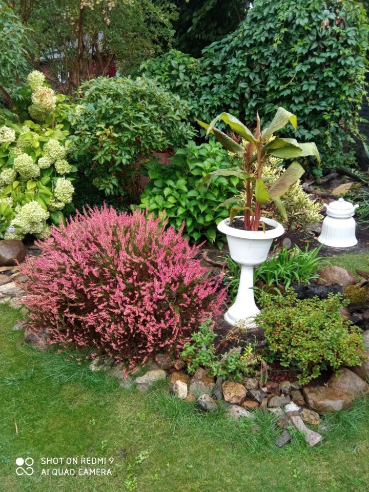 Działka rod Warszawa Targówek, ul. Janowiecka. Zdjęcie 6