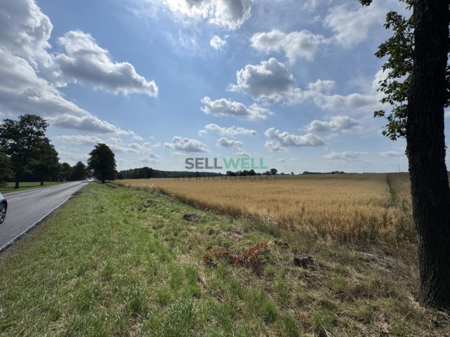 Działka inwestycyjna Złotniki. Zdjęcie 1