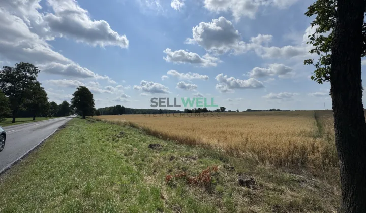 Działka inwestycyjna Złotniki