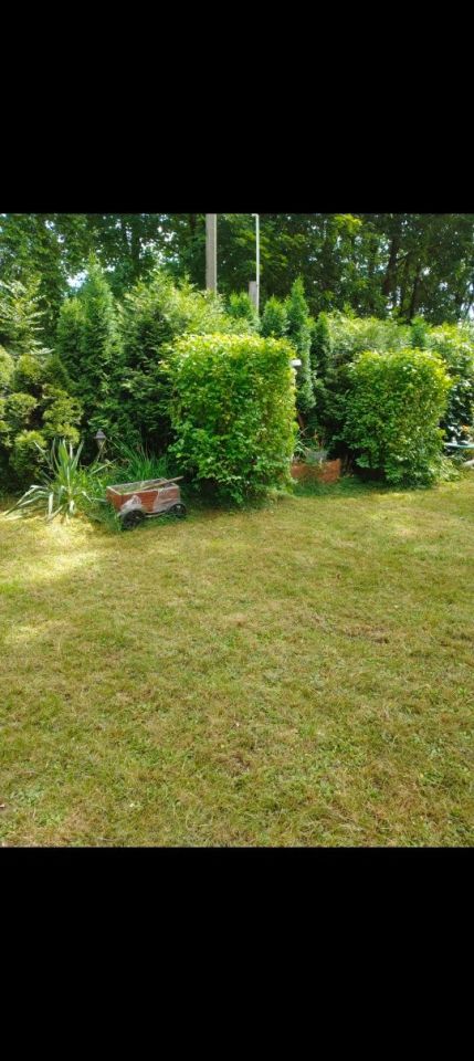 Działka rekreacyjna Przeczyce. Zdjęcie 5