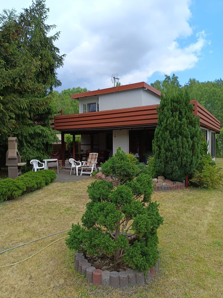 Działka rekreacyjna Brzoza. Zdjęcie 1