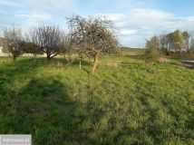 Działka rolno-budowlana Dobrocin. Zdjęcie 1