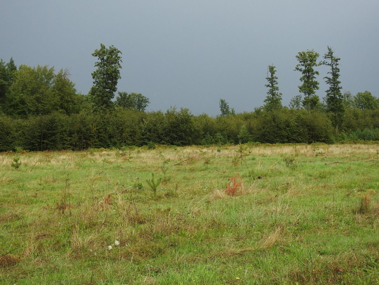 Działka na sprzedaż bez pośredników
Tadzino