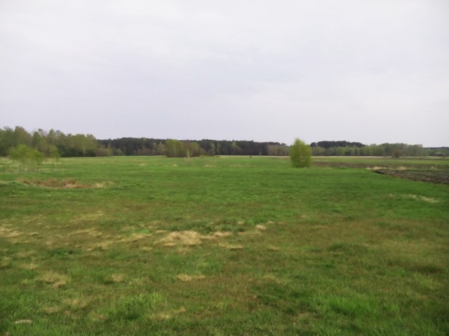 Działka rolna Piszczac. Zdjęcie 1