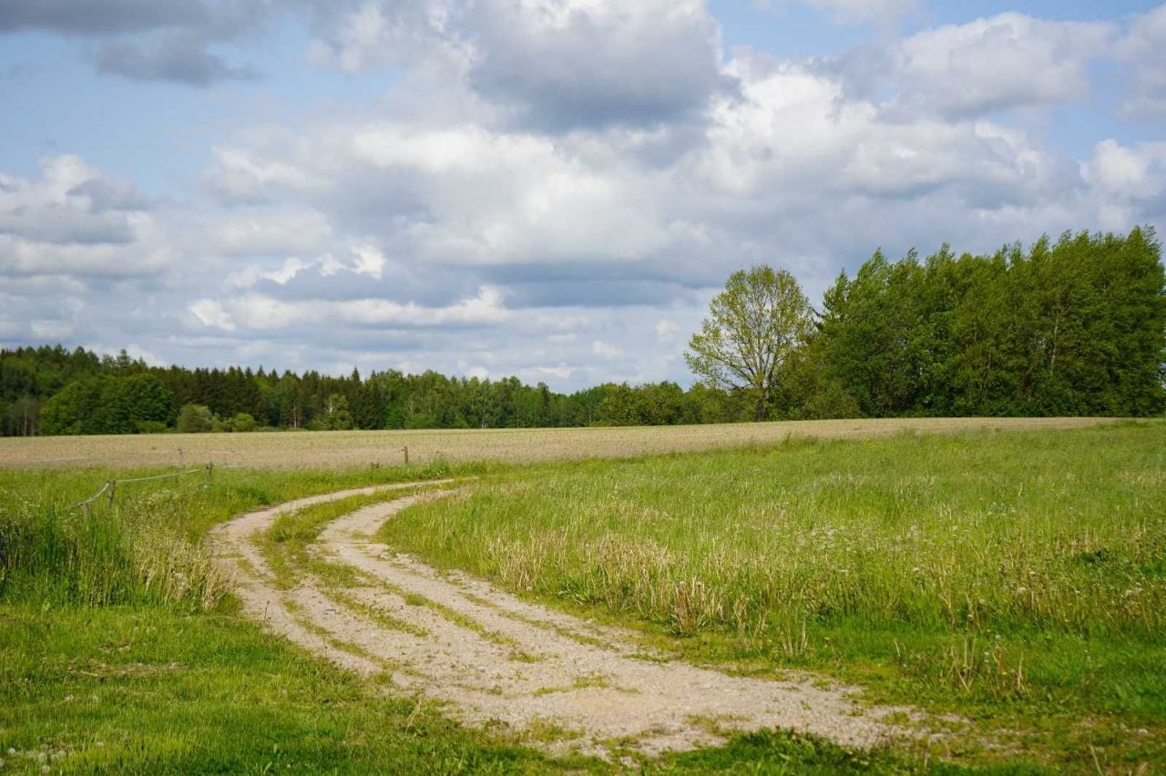 Działka siedliskowa Wysokie. Zdjęcie 5