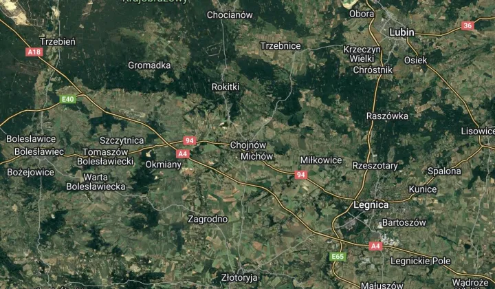 dom wolnostojący Chojnów