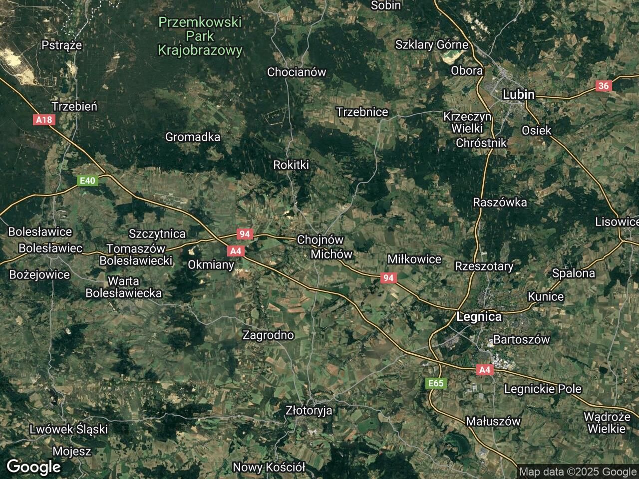 dom wolnostojący Chojnów