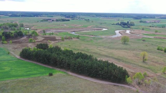 Działka rolno-budowlana Cieciory. Zdjęcie 3