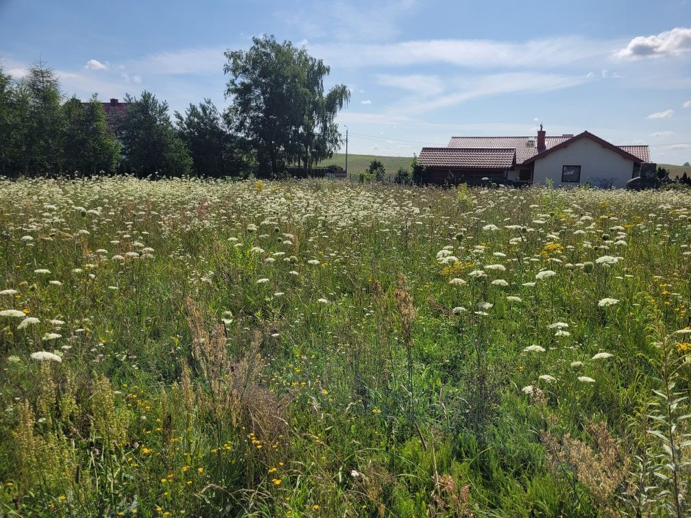 Działka budowlana Szczycionek. Zdjęcie 3
