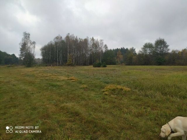 Działka budowlana Radziwiłłów. Zdjęcie 1