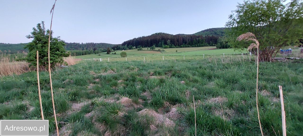 Działka budowlana Wambierzyce Górne Wambierzyce, ul. Wiejska. Zdjęcie 12